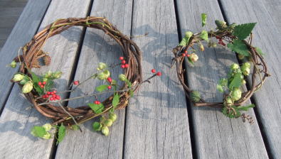 山ブドウのリース